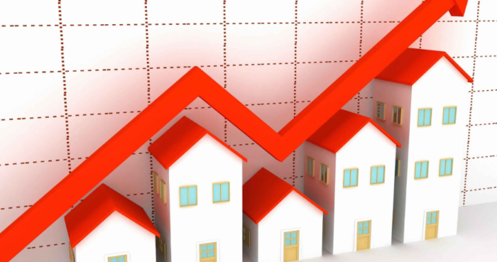 investor policy